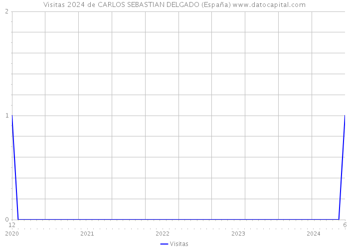 Visitas 2024 de CARLOS SEBASTIAN DELGADO (España) 