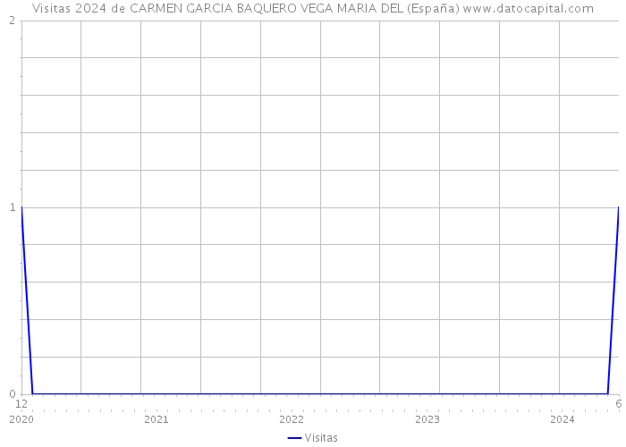 Visitas 2024 de CARMEN GARCIA BAQUERO VEGA MARIA DEL (España) 
