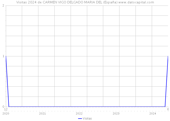 Visitas 2024 de CARMEN VIGO DELGADO MARIA DEL (España) 