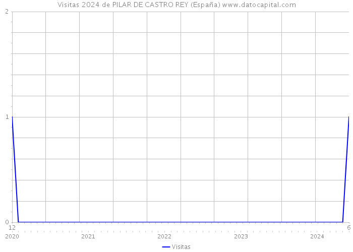 Visitas 2024 de PILAR DE CASTRO REY (España) 