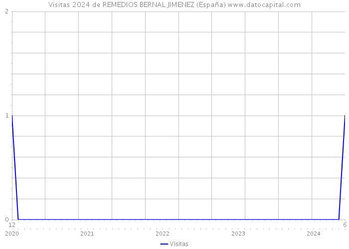 Visitas 2024 de REMEDIOS BERNAL JIMENEZ (España) 