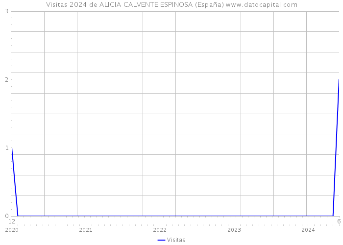 Visitas 2024 de ALICIA CALVENTE ESPINOSA (España) 