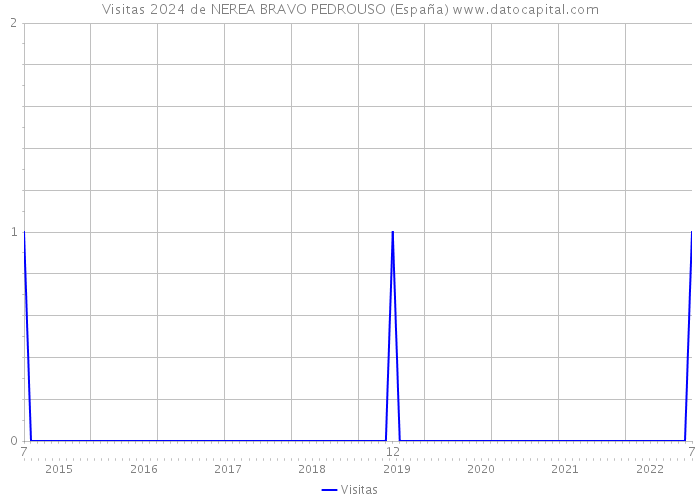 Visitas 2024 de NEREA BRAVO PEDROUSO (España) 