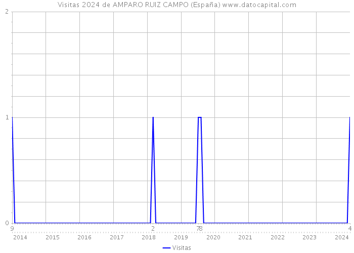 Visitas 2024 de AMPARO RUIZ CAMPO (España) 