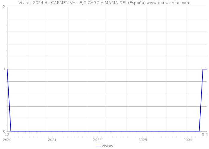 Visitas 2024 de CARMEN VALLEJO GARCIA MARIA DEL (España) 