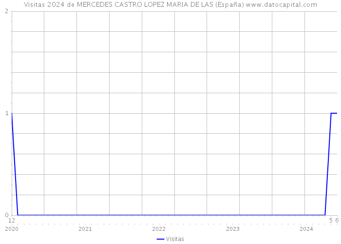 Visitas 2024 de MERCEDES CASTRO LOPEZ MARIA DE LAS (España) 
