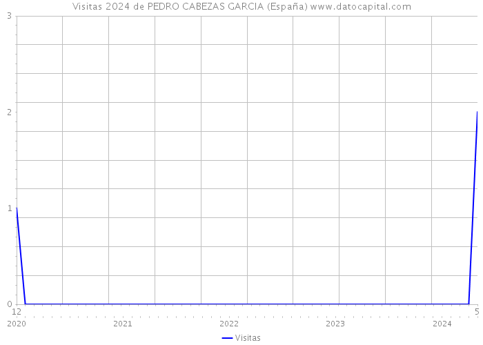 Visitas 2024 de PEDRO CABEZAS GARCIA (España) 