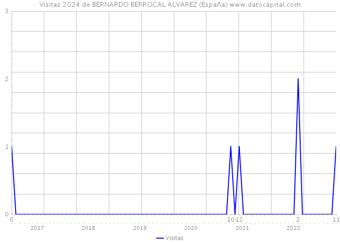 Visitas 2024 de BERNARDO BERROCAL ALVAREZ (España) 