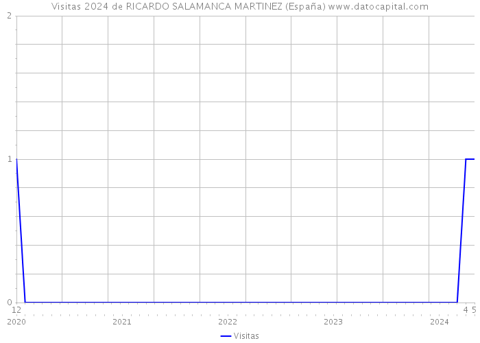 Visitas 2024 de RICARDO SALAMANCA MARTINEZ (España) 