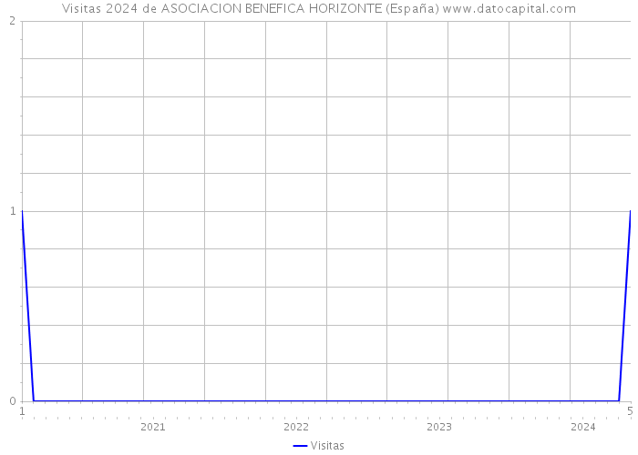 Visitas 2024 de ASOCIACION BENEFICA HORIZONTE (España) 