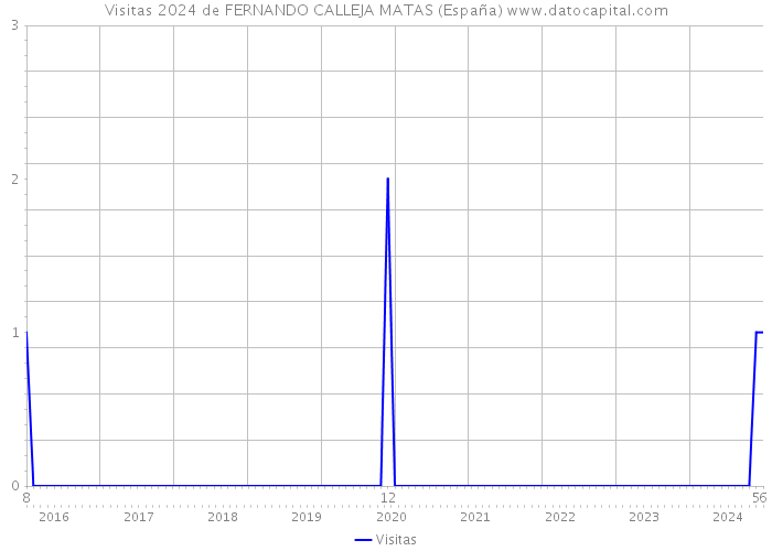 Visitas 2024 de FERNANDO CALLEJA MATAS (España) 