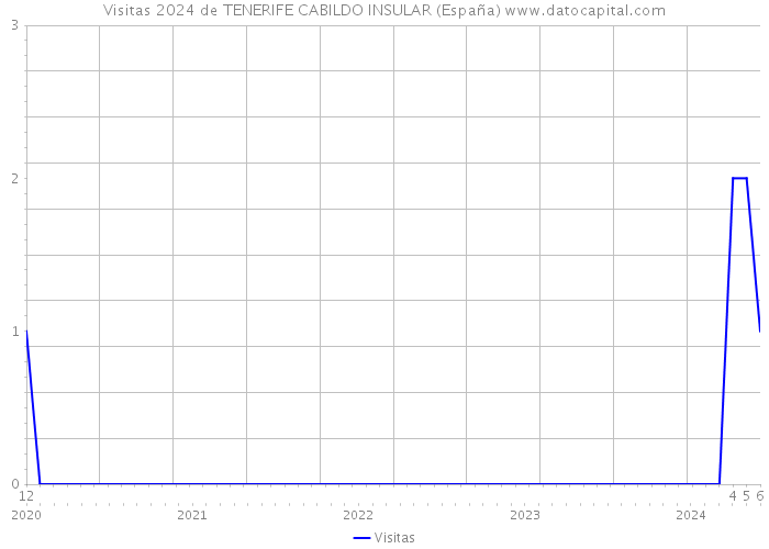Visitas 2024 de TENERIFE CABILDO INSULAR (España) 