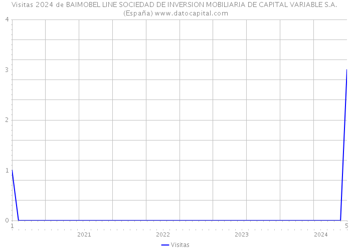 Visitas 2024 de BAIMOBEL LINE SOCIEDAD DE INVERSION MOBILIARIA DE CAPITAL VARIABLE S.A. (España) 
