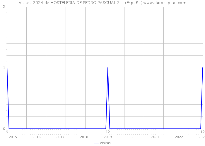 Visitas 2024 de HOSTELERIA DE PEDRO PASCUAL S.L. (España) 
