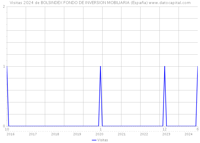 Visitas 2024 de BOLSINDEX FONDO DE INVERSION MOBILIARIA (España) 