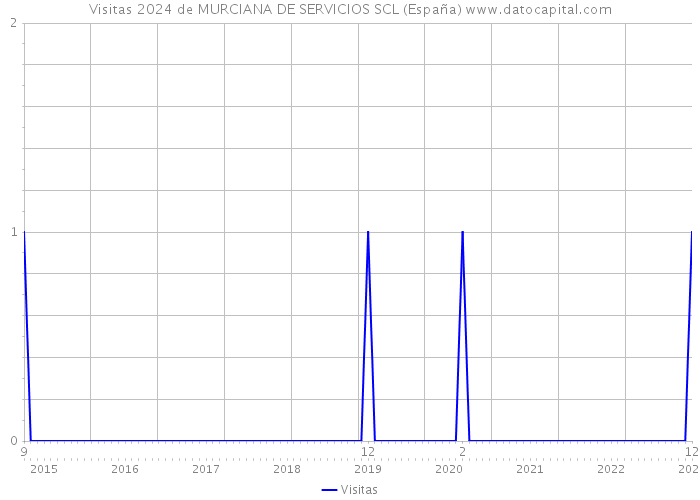 Visitas 2024 de MURCIANA DE SERVICIOS SCL (España) 