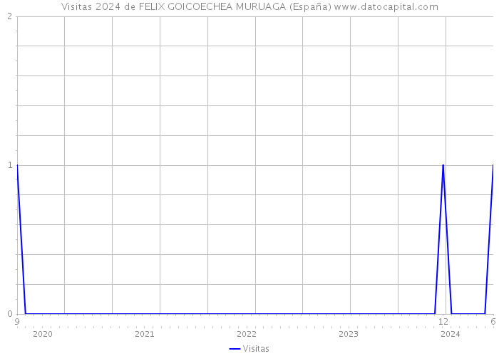 Visitas 2024 de FELIX GOICOECHEA MURUAGA (España) 