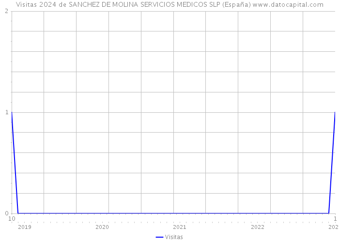 Visitas 2024 de SANCHEZ DE MOLINA SERVICIOS MEDICOS SLP (España) 