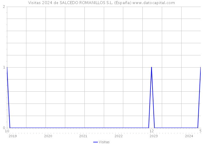 Visitas 2024 de SALCEDO ROMANILLOS S.L. (España) 
