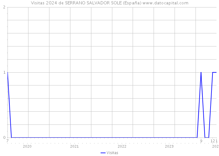 Visitas 2024 de SERRANO SALVADOR SOLE (España) 