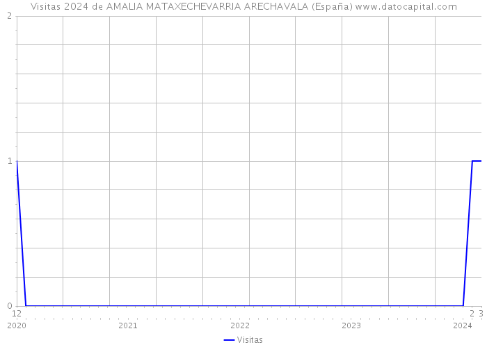 Visitas 2024 de AMALIA MATAXECHEVARRIA ARECHAVALA (España) 