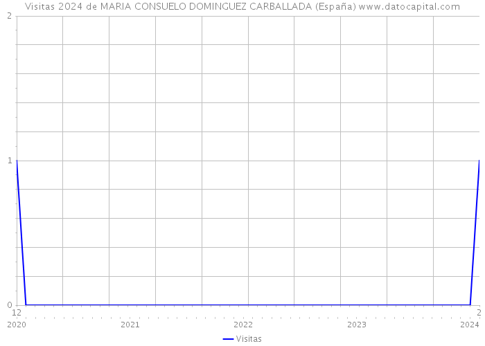 Visitas 2024 de MARIA CONSUELO DOMINGUEZ CARBALLADA (España) 
