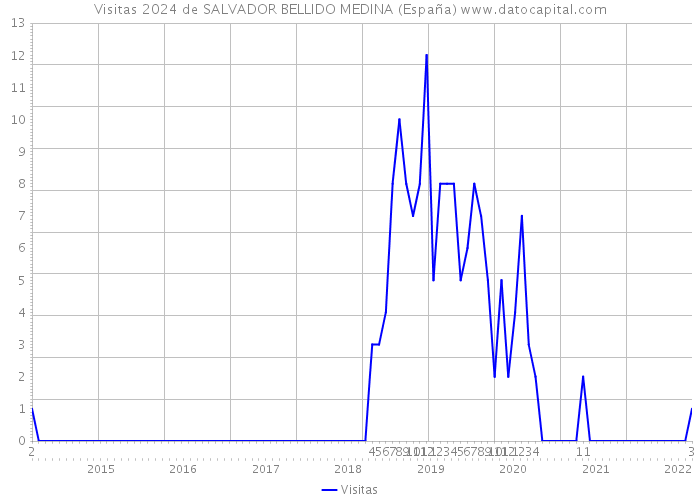 Visitas 2024 de SALVADOR BELLIDO MEDINA (España) 