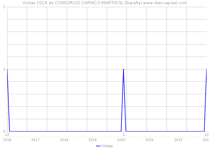 Visitas 2024 de CONSORCIO CARNICO MARTIN SL (España) 