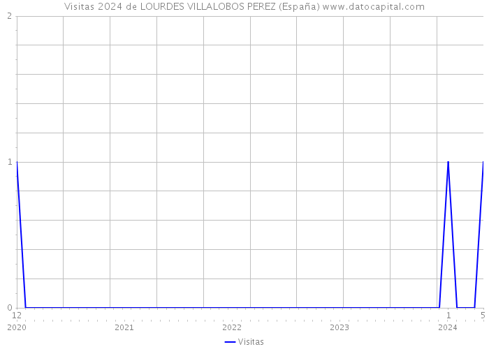 Visitas 2024 de LOURDES VILLALOBOS PEREZ (España) 