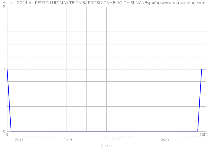 Visitas 2024 de PEDRO LUIS MANTEIGA BARROSO GAMEIRO DA SILVA (España) 