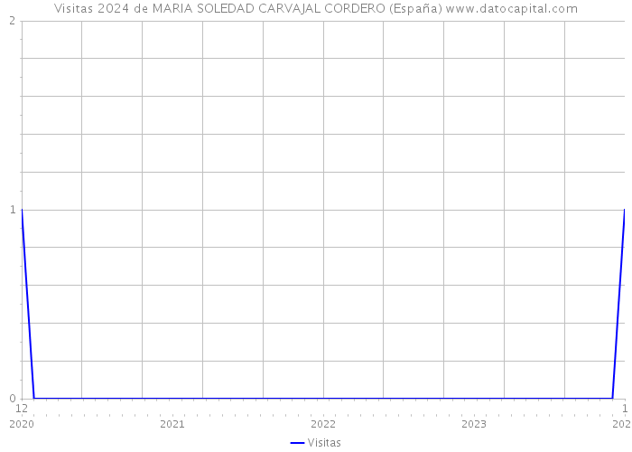 Visitas 2024 de MARIA SOLEDAD CARVAJAL CORDERO (España) 