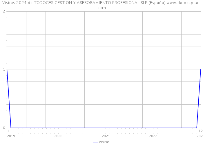 Visitas 2024 de TODOGES GESTION Y ASESORAMIENTO PROFESIONAL SLP (España) 