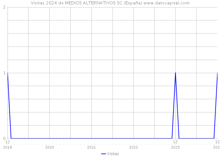 Visitas 2024 de MEDIOS ALTERNATIVOS SC (España) 