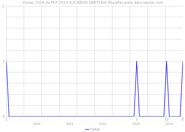 Visitas 2024 de PKP 2014 SOCIEDAD LIMITADA (España) 