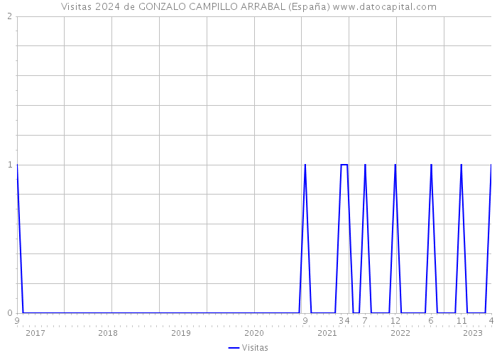 Visitas 2024 de GONZALO CAMPILLO ARRABAL (España) 
