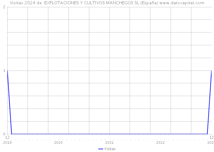 Visitas 2024 de  EXPLOTACIONES Y CULTIVOS MANCHEGOS SL (España) 