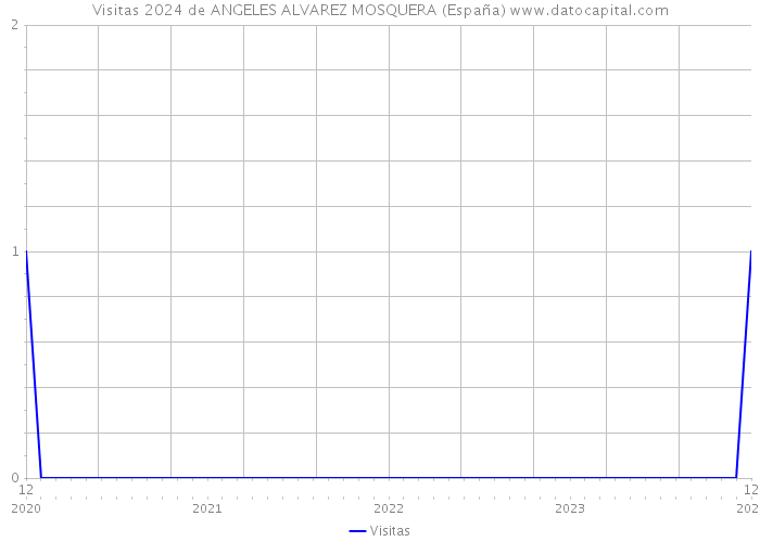 Visitas 2024 de ANGELES ALVAREZ MOSQUERA (España) 