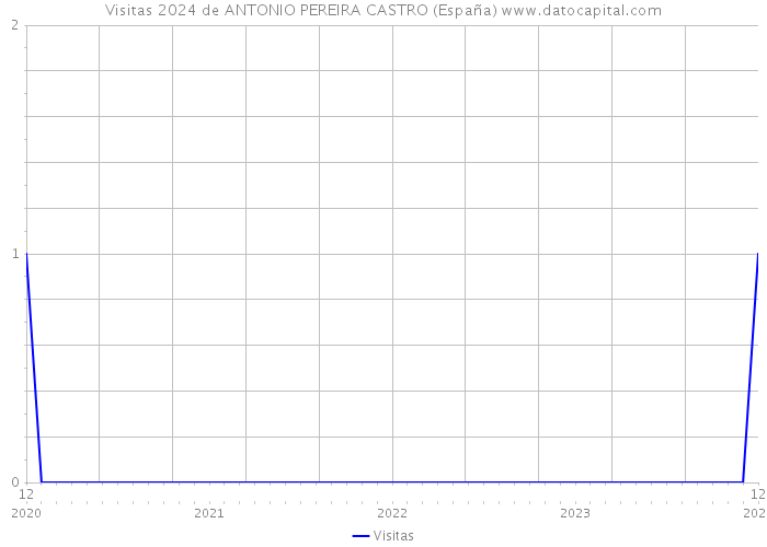 Visitas 2024 de ANTONIO PEREIRA CASTRO (España) 