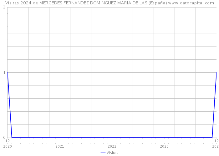 Visitas 2024 de MERCEDES FERNANDEZ DOMINGUEZ MARIA DE LAS (España) 