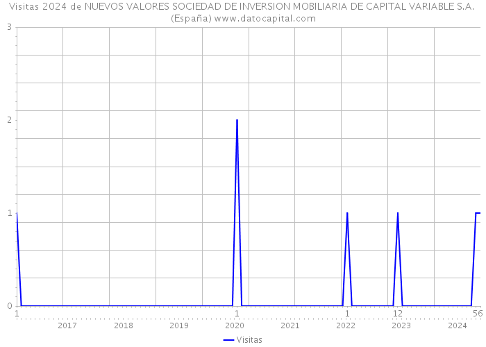 Visitas 2024 de NUEVOS VALORES SOCIEDAD DE INVERSION MOBILIARIA DE CAPITAL VARIABLE S.A. (España) 