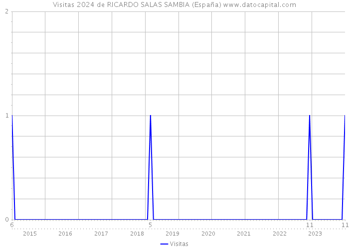 Visitas 2024 de RICARDO SALAS SAMBIA (España) 