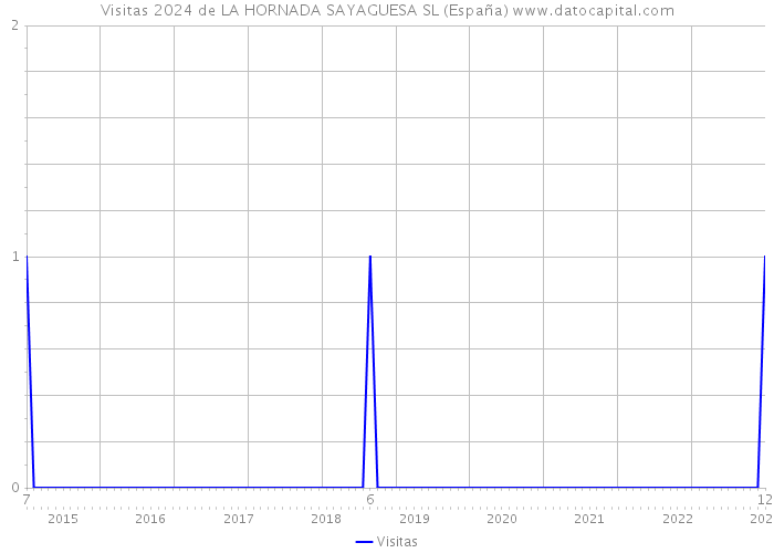 Visitas 2024 de LA HORNADA SAYAGUESA SL (España) 