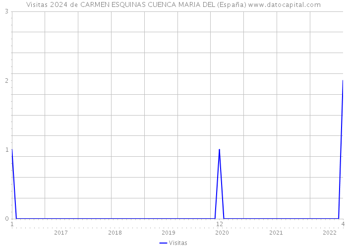 Visitas 2024 de CARMEN ESQUINAS CUENCA MARIA DEL (España) 