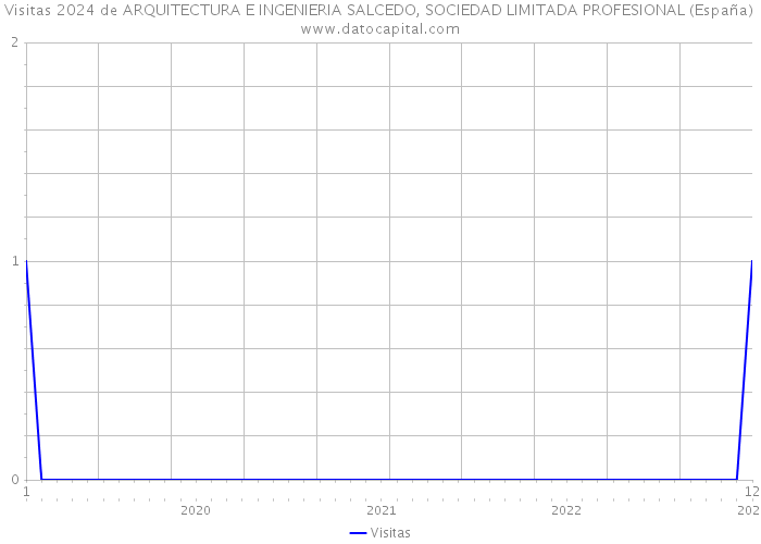 Visitas 2024 de ARQUITECTURA E INGENIERIA SALCEDO, SOCIEDAD LIMITADA PROFESIONAL (España) 