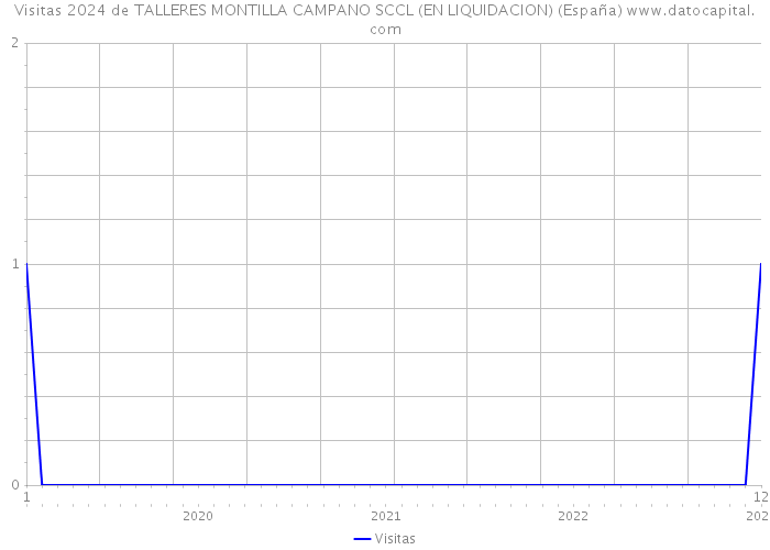 Visitas 2024 de TALLERES MONTILLA CAMPANO SCCL (EN LIQUIDACION) (España) 