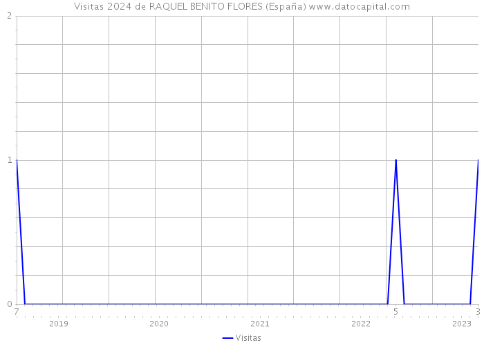 Visitas 2024 de RAQUEL BENITO FLORES (España) 