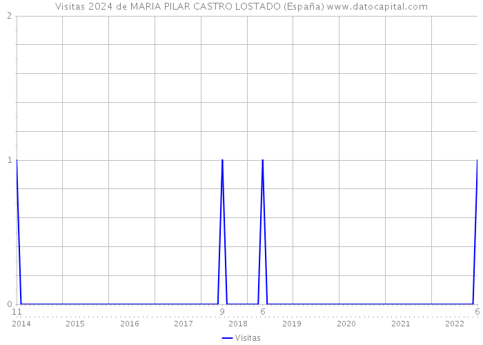 Visitas 2024 de MARIA PILAR CASTRO LOSTADO (España) 