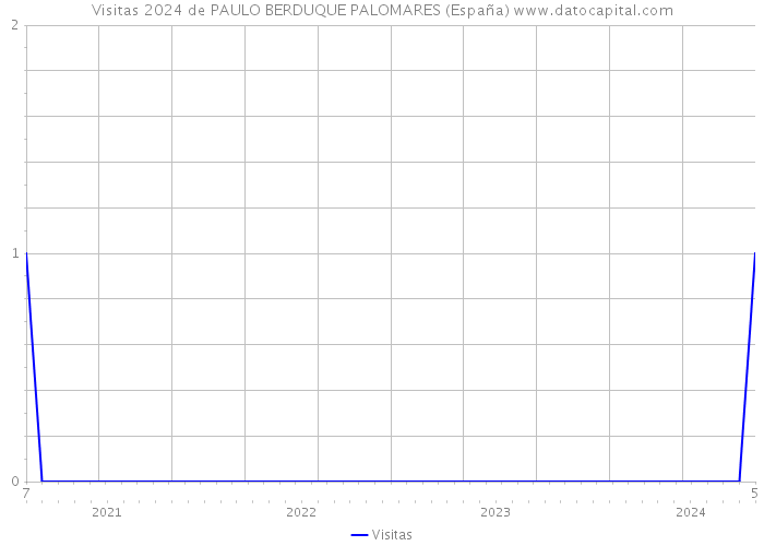 Visitas 2024 de PAULO BERDUQUE PALOMARES (España) 