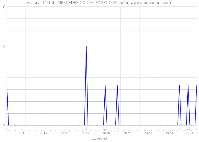 Visitas 2024 de MERCEDES GONZALEZ SECO (España) 