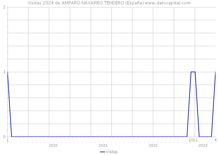 Visitas 2024 de AMPARO NAVARRO TENDERO (España) 